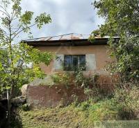 A family house in nature with a shabby facade and surroundings overgrown with bushes.