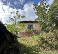An old family house in nature, surrounded by trees and dense vegetation in the village.