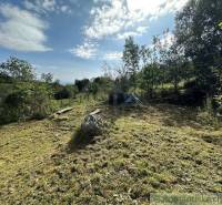 A garden surrounded by trees, contains grass, tools, and a hose, ideal for a family house.