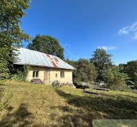 A family house in nature with a metal roof, surrounded by greenery and grass.