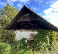 An old cottage surrounded by greenery, with a wooden roof, family and nature harmoniously coexisting.