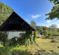 A family house with a wooden roof surrounded by greenery, ideal for nature lovers.