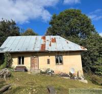A family house with a metal roof and a satellite dish, surrounded by nature and greenery.