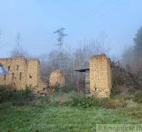 A ruin of a family house in a misty landscape, surrounded by greenery and wires.