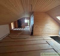 Attic room paneled with wood, skylight, door leading to the room, family house.