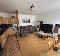 Living room with kitchen, sofa, and television in a cozy family house.