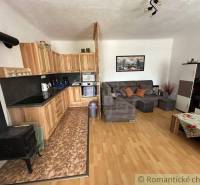 Living room, kitchen with fireplace, sofa, and decorations in a family house.