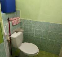 Small bathroom and family house with a toilet, bucket, mop, green tiles and walls.