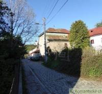 A narrow alley lined with houses immersed in greenery, near a family house.