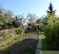 A garden with blooming trees and a family house, an ideal space for relaxation.