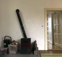 In a room with a wood-gas fireplace, you can see doors and stored items.