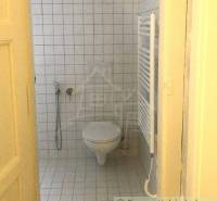A bathroom with a shower and a radiator suitable for a 2-room apartment.