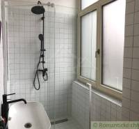 Bathroom with a shower, white tiles, and a sink in a 2-room apartment.