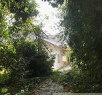 Unusual properties, a white house behind intertwined greenery with a stone path in the garden.