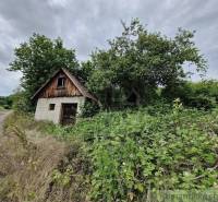 An old cottage by the road surrounded by greenery, trees, and bushes. A modest family house.