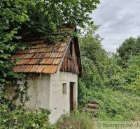 An old log cabin hidden in nature, surrounded by a dense, green forest. Family house.