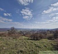 A panorama of the countryside with a city, sky, and family houses on a hill.