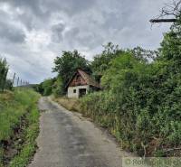 A country house hidden in the trees, next to the road, under a cloudy sky.
