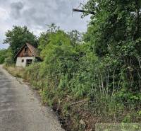 An abandoned family house by the road, surrounded by lush greenery in a picturesque setting.