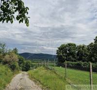 A stone path next to fields and trees offers a view of the mountains, leading to a beautiful family home.