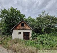 A family house hidden in nature surrounded by lush vegetation under a cloudy sky.