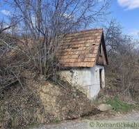 A family house with a wooden roof, surrounded by dry vegetation under a blue sky.