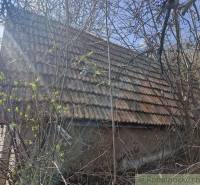 Abandoned cottage with a tiled roof overgrown with trees, ideal for renovation and a family home.