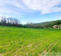 A vast field and a cottage near the forest, ideal for relaxation and close to nature.