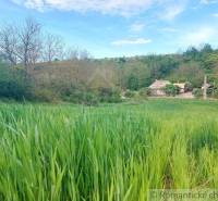 Green meadow, trees, and a visible cottage in a quiet rural setting.