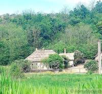 A cabin in the forest among the trees, surrounded by lush greenery and a peaceful atmosphere.