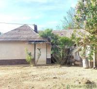 A cottage behind a leafy tree with a brick roof in the countryside awaits renovation.