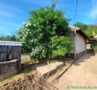 A cottage with a blooming tree and a wooden well in an idyllic rural setting.