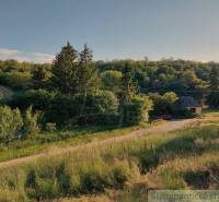 The landscape features a small house surrounded by trees, suitable for living.