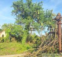 The image shows plots with housing, an old pump, and an overgrown structure in nature.
