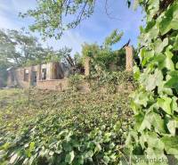 An old house surrounded by greenery, an ideal location for living in a natural environment.