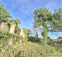 Abandoned plots with an old, overgrown house, suitable for new living.