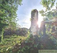 An overgrown garden with a ruin of a wall, sunlight filtering through the trees, ideal for living.