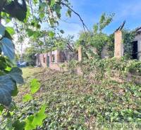 An old house covered with ivy on overgrown **grounds**, with the sky in the background. **Living**.