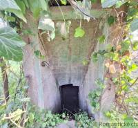 An old ivy-covered cellar entrance on the property, ideal for a cottage and living.