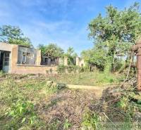 An overgrown plot with a dilapidated building and a well near a residence.