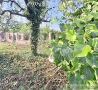 An older house surrounded by greenery and a tree, ideal for renovation for residential purposes.