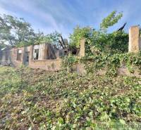 Overgrown ruin with land for living, surrounded by greenery and crumbling walls.