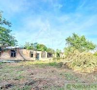 A view of an abandoned house on a plot, ideal for living or renovation.