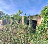 Abandoned, overgrown house ruins amidst nature symbolizing interesting possibilities for housing restoration.