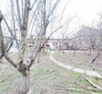 In the picture, there is a garden with fruit trees and a family house in the background.