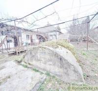 A yard with a cellar and a garden at a family house.