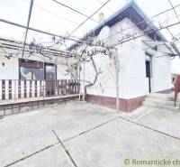 In the picture, there is a yard and a family house with a terrace and a vineyard pergola.