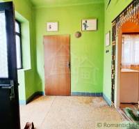 Green hallway in a family house with a decorated passageway and simple wooden doors.