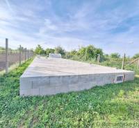 Foundations surrounded by greenery and fencing, future garden.