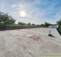 The image shows a large concrete area next to a garden, with a view of trees.